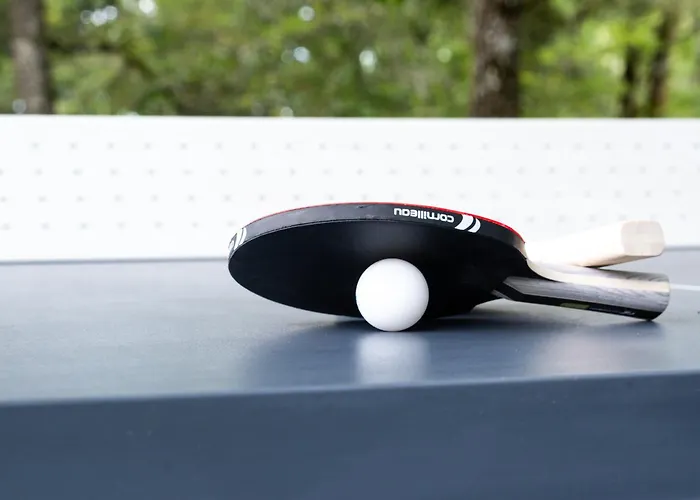 Les Hauts De Chaunac * Vitrac (Dordogne)